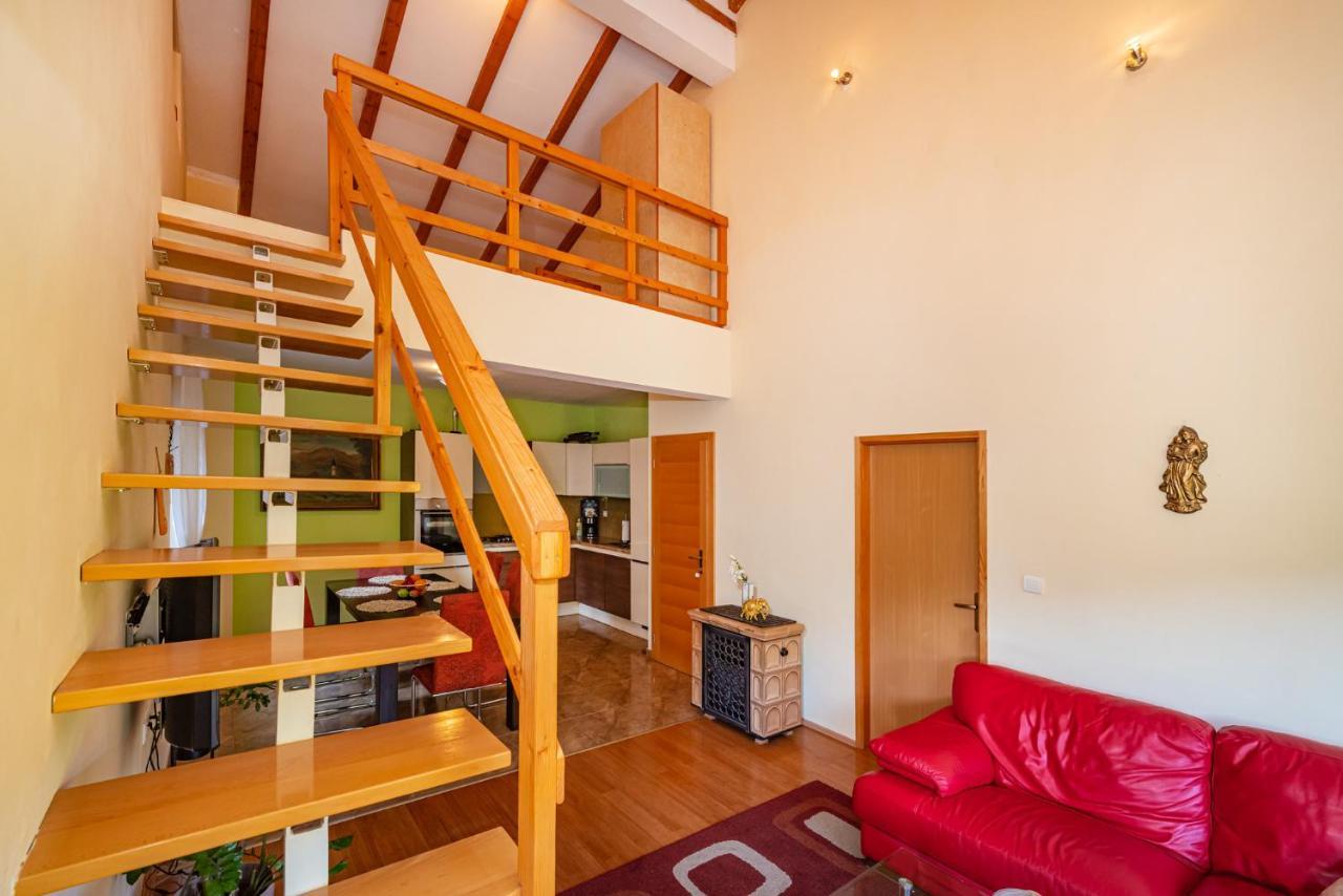 Apartments Maris ノビグラード・ダルメーシャ エクステリア 写真